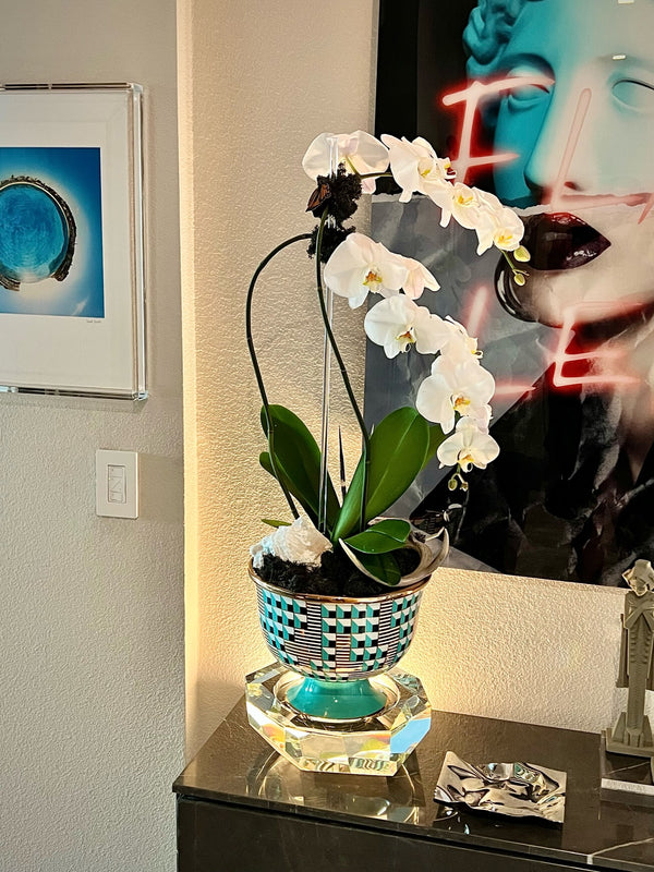 Jonathan Adler Double Stem Orchids & Geodes