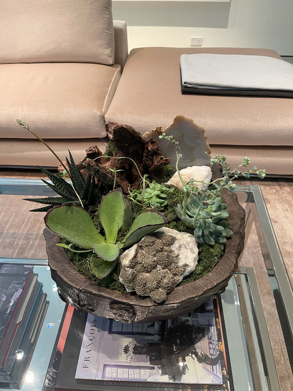 Large Succulent Garden & Geodes