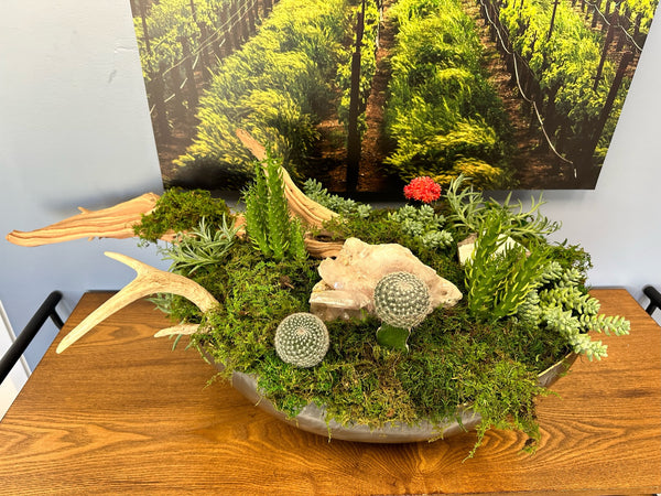 The Secret Garden Succulent Arrangement