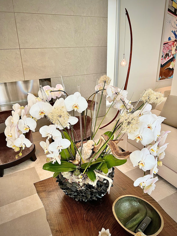 Spring Has Sprung Orchid with Smoke Quartz Vessel